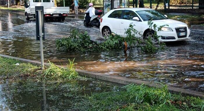 Maltempo, il Lambro è esondato nel Parco di Monza