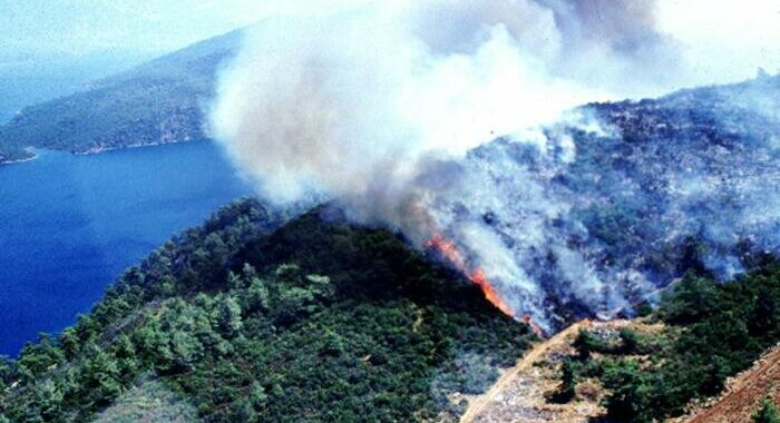 Cinque morti e decine di feriti per gli incendi in Turchia