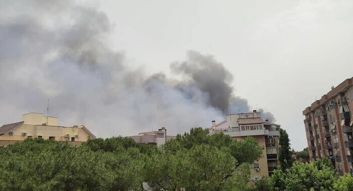 Incendio di sterpaglie a Roma, evacuata facoltà a Tor Vergata