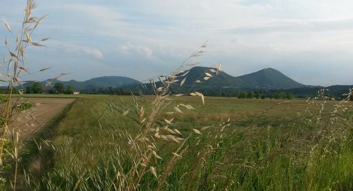 I Colli Euganei conquistano l’Unesco