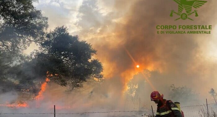 Incendio nel Nuorese, 700 ettari in fumo