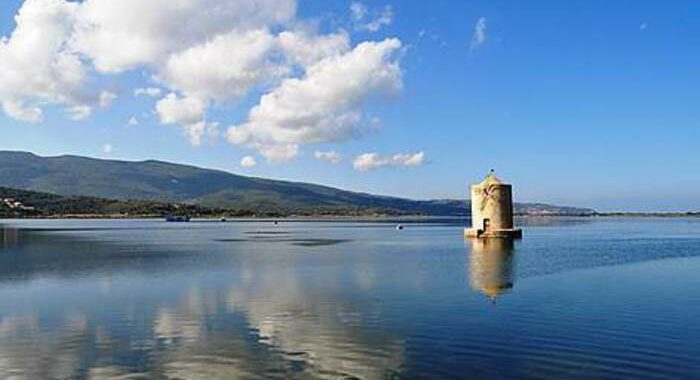 Laguna Orbetello, sindaco ‘imponente organizzazione pulizia’