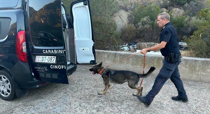 Ris confermano, sono di Francesca i resti del corpo nel borsone