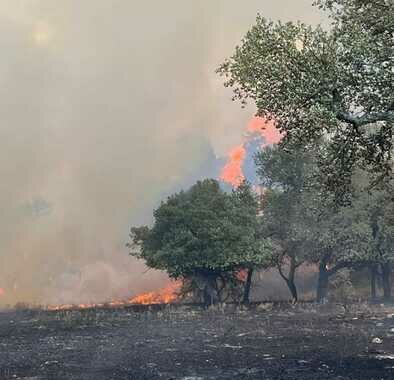 Spento incendio nel Nuorese, più di 800 ettari bruciati