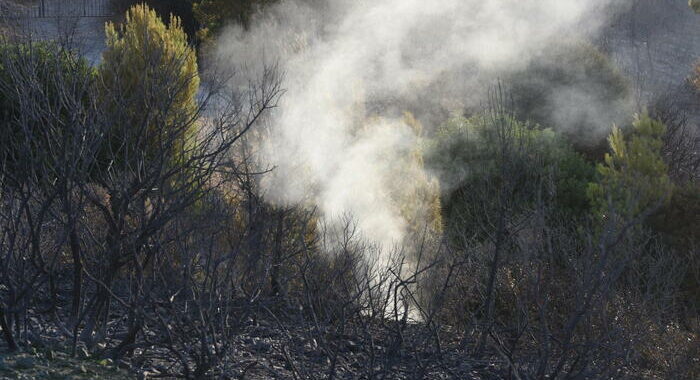 Travolto da albero durante incendio, muore dipendente Arif