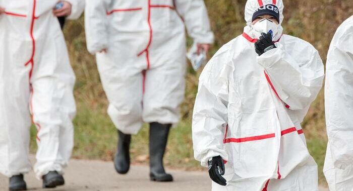 Usa, primo caso influenza aviaria senza contatto con polli