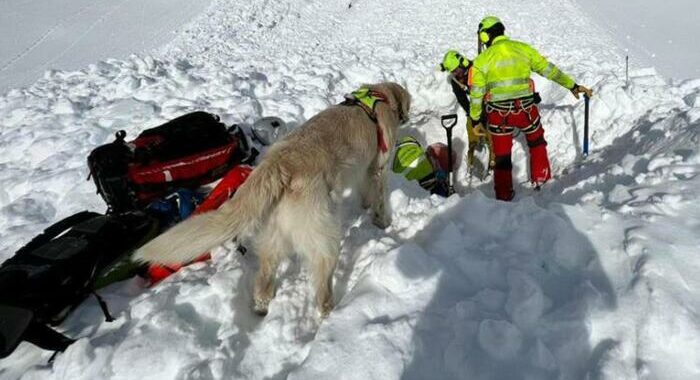 Valanga sul Castore, nel massiccio del Rosa, alpinisti coinvolti